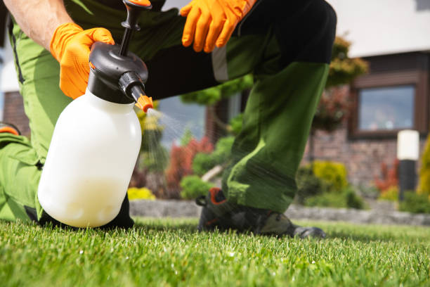 Best Affordable Pest Control Services  in Villas, NJ