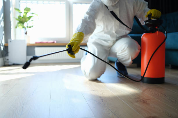 Best Local Pest Control Services  in Villas, NJ