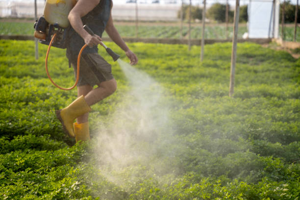 Best Best Pest Control Companies  in Villas, NJ