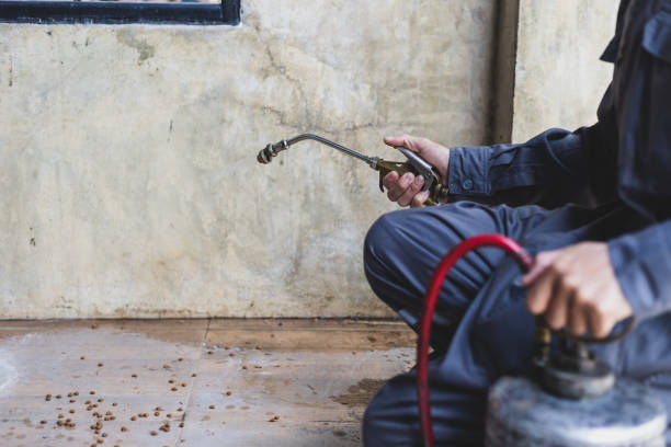 Best Wasp Removal Services  in Villas, NJ